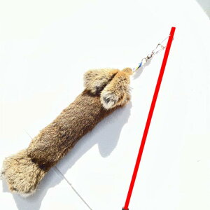 ���p�������� �y�b�g�������� �ʂ������ ������������ ���ނ������� �e�� ���F �X�g���X���� �^���s������