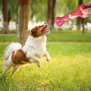 p ނ   ^ F ^ ^ v  VRS XgX mߋ