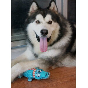 p ʂ Aj} ނ v    z ^ ^ ^ Fj j