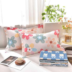 Jo[ 48×74cm yA |GXe 􂦂 ԕ w q lp z[XeC 