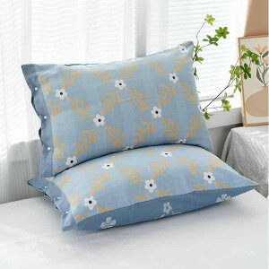 Jo[ yA ԕ z ʋC _炩 100% I[V[Y 50×75cm