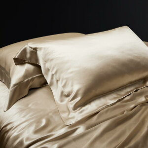 Jo[ VN  s[P[X 48×74cm DF VpS[h GKgŐ F ^bNVo[ vZXsN Cbh A[~[O[ CguE _[Nu