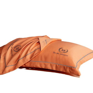 Jo[ fB[X ڐG⊴ VN^b` 48×74cm 2g k hJ Cgu[ |GXe Ȃ߂炩 G