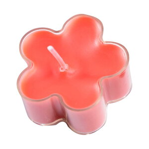 A}Lh OX DIY eB[Cgp ϔM vX`bN  Jbv 哤bNX Rei S ~` Ԍ` NX}Xc[ ~`