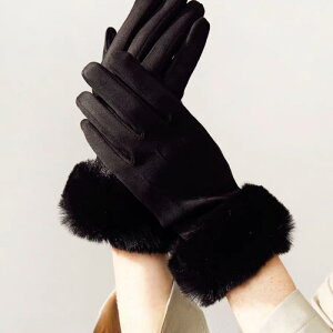  fB[X H~ X}[gtHΉ h h g XG[h 킢 w ʋ ʊw ] oCN O[u