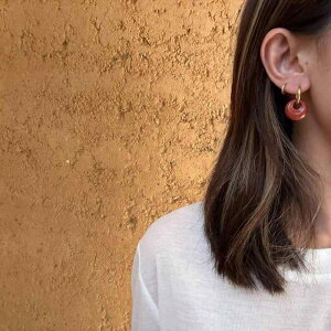 sAX fB[X CO VR j _ bhXg[ ^CK[AC ~` 􉽊w  INS h ANZT[