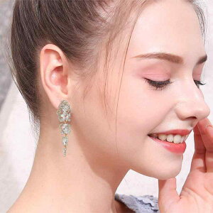 sAX fB[X WRjA hbv CO  Vo[ S[h EFfBO p[eB[ t@bV ʋ 킢 􉽊w͗l h gh ig