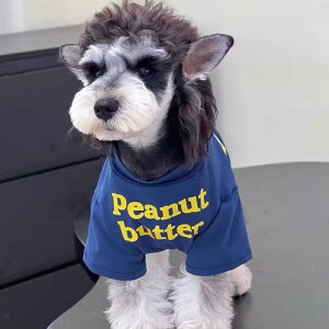 hbOEFA t  킢 іh~  L ^ Z[^[ ybgEFA  R[xxbg