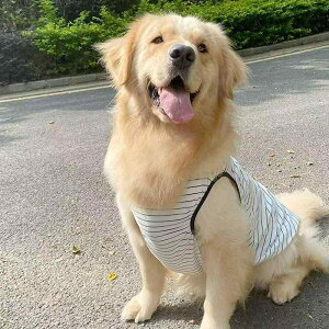 hbOEFA   ybg EFA s[X 킢 ^ ^ |GXe F  ig