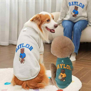 hbOEFA H~ efB S[fgo[ L R[M[ t`uhbO ^ ^ ^ ybg eq yAbN [ht |GXe 킢