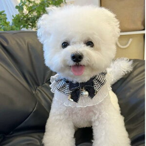 �y�b�g �X�^�C �悾�ꂩ�� ���^�� ���� ���킢�� ���{�� �`���[�J�[ �l�b�N���X �|���G�X�e�� �� �u���b�N ���� �S�[���h �p�[�� ��