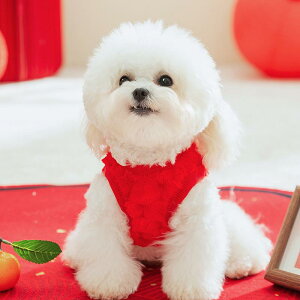   ^ H~ t[X g 킢 ybg hbOEFA ʂ q N RX`[ XS S M L XL XXL