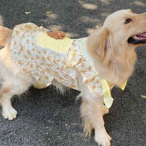   ^ ^ 킢  s[X IF |GXe