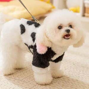 ybg  L p t[X ʂ n[lX̌^ p[X ^ q rߖh~  킢 n[lX [h U o   mg[