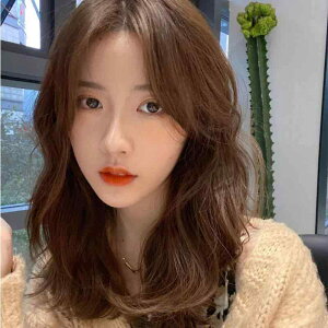 EBbO fB[X ؍  O  ~fBA O J[ t@bV  ϔM ubN   F _[NuE