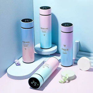  jp X}[gx\ 304XeX| @r Of[VJ[  ʋ ʊw AEghA