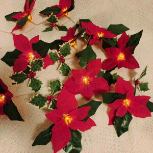 LED C~l[VCg bh|CZ`ACg XgOCg Ԃʎ dCg NX}X fR[V Cg K[h    t ͋C