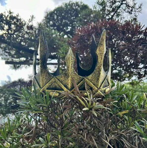 wbhhX qp  J`[V vZX q p[eB[ nEB RXv Cxg  G S[h Vo[