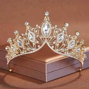 wAANZT[ eBA NE  uC_  p[eB[  LL ĕ CXg[  F F Vo[ S[h Cxg RXv ʐ^Be