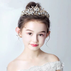 wAANZT[ qp eBA ̎q    t[K[ \ w S[h Vo[ sN {