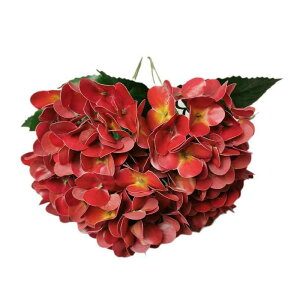 ���� 3D 5�w�b�h �A�W�T�C ������ �z�[���f�R���[�V���� �z�e�� �f�B�X�v���C �t�����[�A�����W�����g �C���e���A