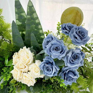   EFfBO [Y KN o 7{  Be ʐ^X^WI I H e[u fR[V AWg Î F  g F F F F F F