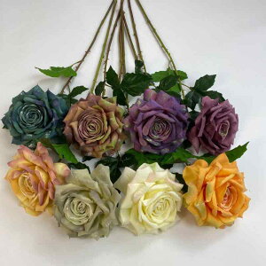 ���� ��փo�� �k���� �C���e���A ���r���O ���� �B�e�p���� �K�N ����