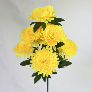 ���� ���� ���� �e 7�{ �ԑ� ��g �s���N �C�G���[ ���F �u���[ ���F ��Q�� �ފ� ���~ �~�I ���d ���� ���{