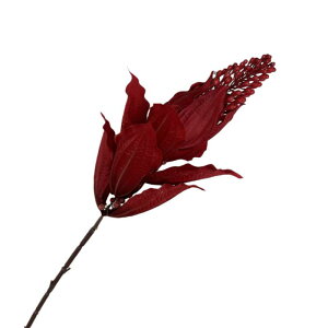 ���� �C���e���A �k���� ���� �E�T�M�̔� �I�����W�F ���F �F �ԐF �@ �V�����p���F �R�[�q�[�F ���F �B�e����