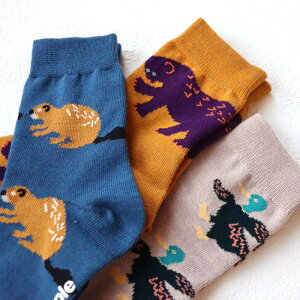 X^v ƂƂAj} N[\bNX 3g 13cm-25cm stample C | CZbg \bNXZbg ₷ ~ C LbY ׂ~ qp ǂ qǂ j̎q ̎q C 