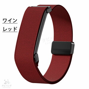 �V���� fitbit air �o���h �i�C�����f�� fitbit air �x���g �t���[����� �ʋC�����Q Google Fitbit Air �o���h �O�[�O�� �t�B�b�g�r�b�g �G�A �����o���h �X�|�[�c�p�o���h �}�O�l�b�g�� �������R �X�}