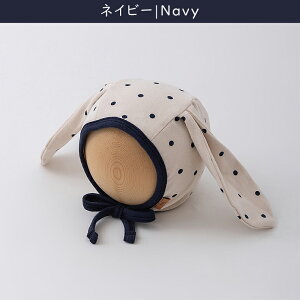 xr[ Xq   t xr[Xq {lbg j̎q ̎q V Ԃ tH t H y 100 Rbg hbg  oj[ 킢  Rt  ی xr[