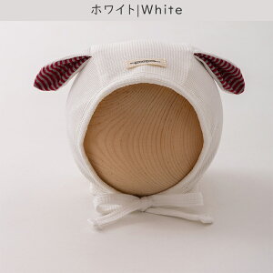 _SS11OFFIP5{^ xr[ Xq   t xr[Xq {lbg j̎q ̎q V Ԃ tH t H y 100 Rbg btn oj[ 킢  R