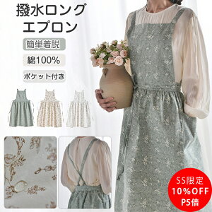 _SS11OFFIP5{^ Gv  O obNNX [NGv Rbg  100 傫TCY ԕ 킢  JtF H X^ Gv EȒP fB[X 