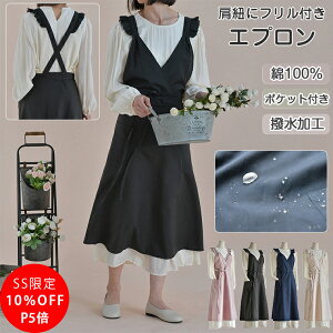 _SS11OFFIP5{^ Gv  O obNNX [NGv Rbg  100 傫TCY n 킢  JtF H X^ Gv EȒP fB[X 