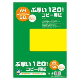 日本ノート(キョ　コピー用紙　ぶ厚い120GSMコピー用紙A4　PPC120A4