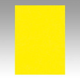 リンテック　色画用紙　ニューカラー4切100枚　レモン　GO4NCR-319