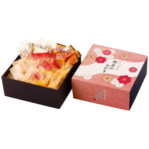 yEÊz^NZC ǂ؂̂ IR-2N(A4)