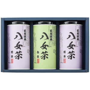 yMtgÊz͕Y Mtg SGY-50(A4)