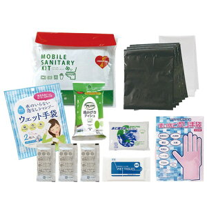 yMtgÊzGsIX \ô߂ oCLbg FNT-D