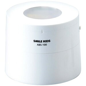 yMtgÊzd@ 14drXgbJ[ ABS-100(B6)