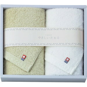 yMtgÊz₳ tFCX^I2Zbg O[ YT-24220G(A4)