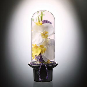 yEÊzv} KXh[̋ Ӓ() PRSY-0132(A3)