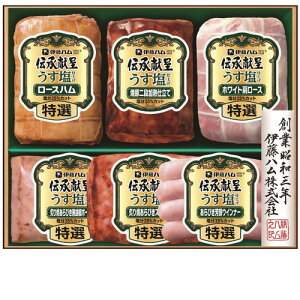 yΕEzɓn `悤dグMtg GMU-5V Ε