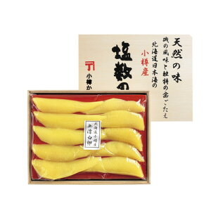 yΕEzkC{C MOlY̎q(YEؔ)600g KS-MK101 Ε