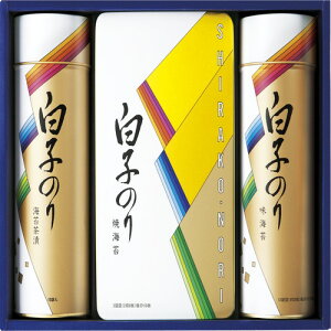 yEÊzq̂ ̂EЂl SA-300(B4)