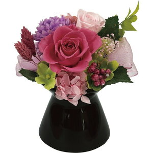 �y���������E������E�̂������z�ʉ�(�v���U�[�u�h�t�����[) �s���N bc-13571-P(A5)