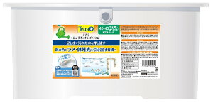 �e�g�� ���傤��ŃL���C���_�J�� 40×40 ���������z���C�g