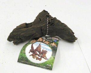 ���R���� �~�j