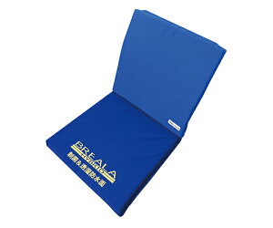 PAV[g3DBRHS|400BL|3D@4582328920605